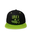 FDF-982 19 Basic (Snapback) (Green Edition) 001 (Web)